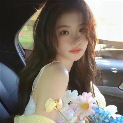 哈莱姆的郁金香